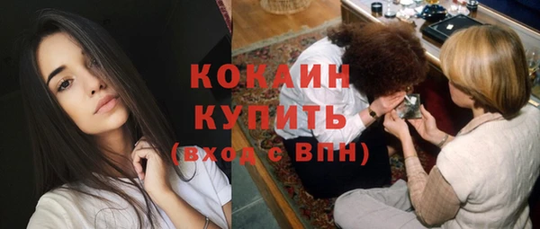 прущие грибы Михайловка