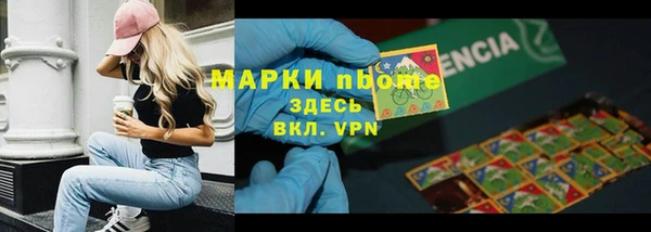 прущие грибы Михайловка