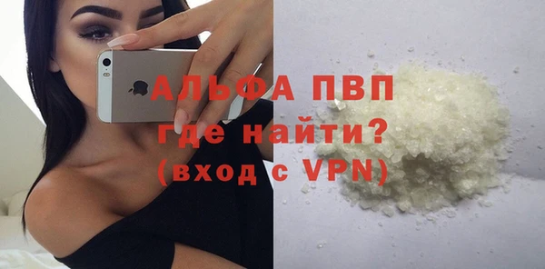 шишки Михайловск