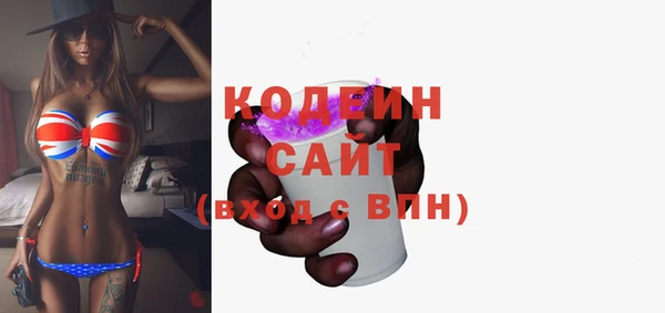 шишки Михайловск