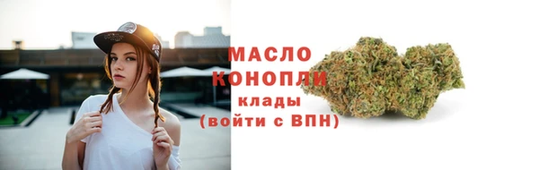 шишки Михайловск