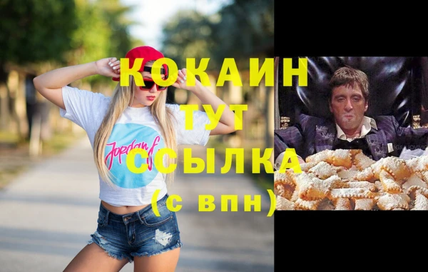 шишки Михайловск
