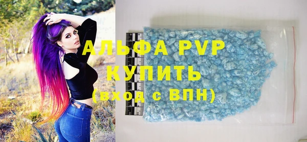 прущие грибы Михайловка
