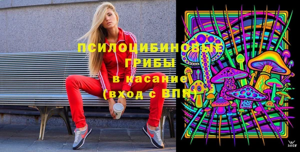 прущие грибы Михайловка
