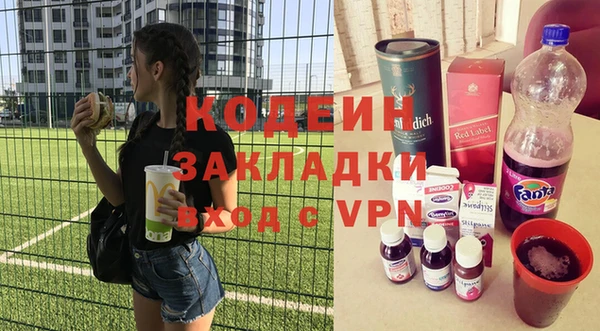 шишки Михайловск