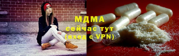 прущие грибы Михайловка